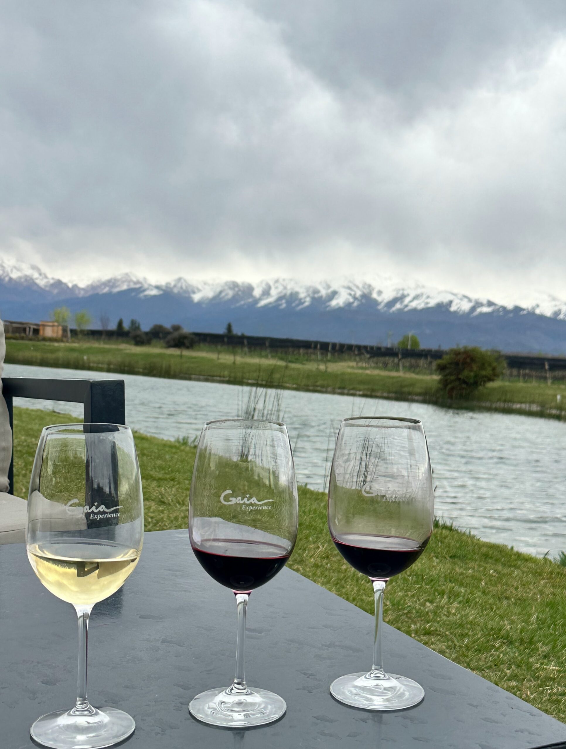 Malbec Uco Valley Argentina Malbec vineyards in the Uco Valley, Mendoza Argentina